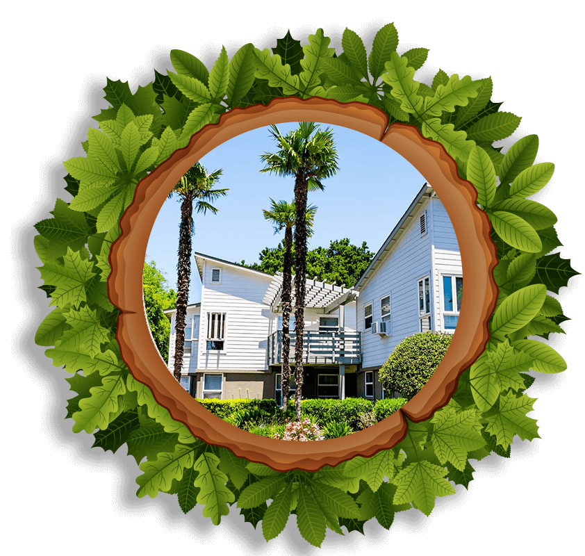 Let Us Clean Your Tiki Hut