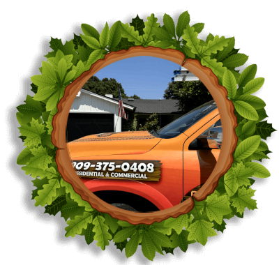 services solar panel washing
